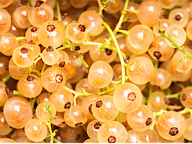 White currants