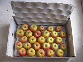 Boxed Apples
