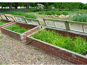 Brick cold frames with Wooden & Glass lights
